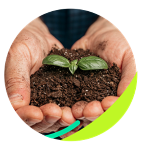 AgroVerde